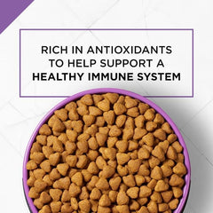 Purina Pro Plan Dry Dog Food, SPORT Active 26/16 Formula - 37.5 lb. Bag