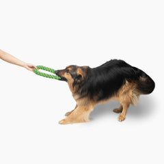 Jolly Pets TIK-Tak-Tugzz Rope Dog Toy