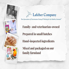 LAFEBER'S Fruit Delight Avi-Cakes Pet Bird Food, Made with Non-GMO and Human-Grade Ingredients, for Cockatiels Conures Parakeets (Budgies) Lovebirds (8 oz Pack of 1)