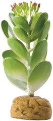 Exo Terra Jade Cactus Terrarium Plant