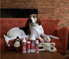 Bio-Groom Flea & Tick Dog Shampoo – Flea and Tick Prevention for Dogs, Cat Flea Treatment, Cruelty-Free, Made in USA, Natural Tick Repellent, Protein-Lanolin Shampoo