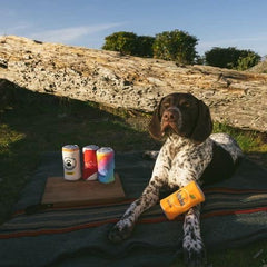 ZippyPaws - Squeakie Can Dog Toys, Stuffing Squeaker Plush Beverage Dog Toy - Fetcha