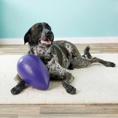 Jolly Pets Jolly Egg Dog Toy