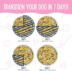 Weruva Meals 'n More Natural Wet Dog Food, Bed & Breakfast Plus Digestive Support (Pack of 12)