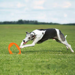 BIONIC Toss-N-Tug Turbo Dog Toy - High-Visibility Ultimate Three-in-One Dog Toy, Lightweight Design for Light Chewers