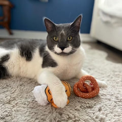 SPOT Ethical Products American Take Out 2 Pack Assorted