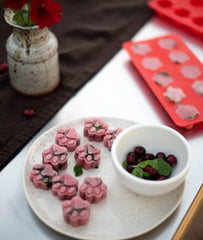 Boss Dog ProPaws Red Treat Tray 2 Pack