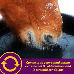 Apple-Dex® Electrolytes – 5 lbs