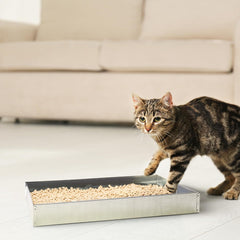 Pet Lodge® Metal Rabbit Hutch Dropping Pan – 30x30" Heavy-Duty Galvanized