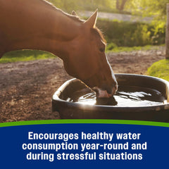 Farnam® Apple Elite Electrolytes – 5 lb