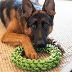 Jolly Pets® Tik Tak Tugzz Rope Dog Toy – O-Shaped