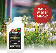 Martin's® Eraser 41% – Concentrated Weed Killer