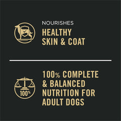 Purina Pro Plan Grain Free Wet Dog Food Beef & Salmon Entrée 12 pack 13 oz