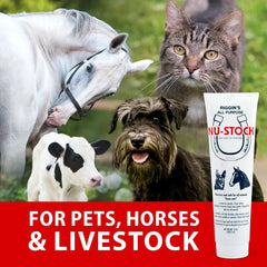 Durvet® Nu-Stock – 12 oz - All Purpose Topical for Skin Disorders