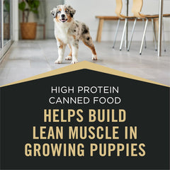 Purina Pro Plan Sport Chicken & Rice Wet Puppy Dog Food – 12 Pack 13 oz Cans