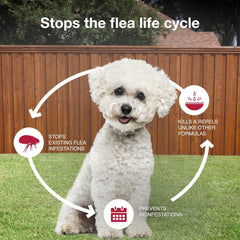 K9 Advantix® II – Monthly Flea, Tick & Mosquito Protection for Dogs