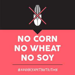 Ultimates Sensitive with Salmon Protein Dry Dog Food – 28 lb