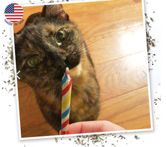 SMARTERPAW Meowijuana Birthjays Party Sized Catnip Joints 6 ct