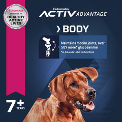 Eukanuba Senior Large Breed Dry Dog Food, 30 lb