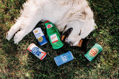 ZippyPaws Squeakie Can - Zippy Extra, Funny Alcohol Dog Toys, Beer Can (one size)