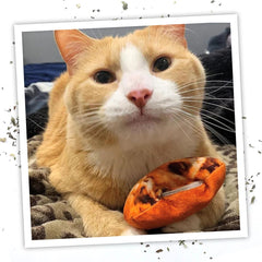 SMARTERPAW Meowijuana Get Baked Cookie Toy