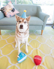 ZippyPaws - Birthday Blue Box Gift for Dogs and Puppies - 3 Pack