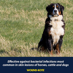Farnam® Wound-Kote™ – 7 oz