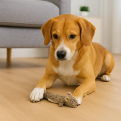 Skinneeez Extreme Quilted Squirrel- Durable, Stuffing Free Dog Toy with 4 Layers of Diamond Stitched Fabric & 2 Squeakers- Ideal For Small & Medium Aggressive Puppies and Dogs