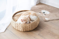 PetPals Hand Made Paper Rope Round Bed for Cat/Dog/Pet Sleep with Pillow, Natural (Round)