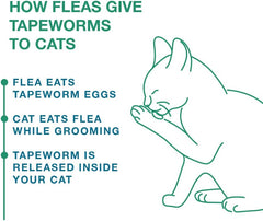 Elanco Tapeworm Dewormer (praziquantel tablets) 6 Weeks and Older, 3-count