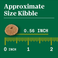 Nutro Natural Choice Senior Large Breed Dry Dog Food, Chicken and Brown Rice, 30 lbs.