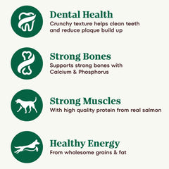 Nutro Natural Choice Adult Dry Dog Food, Salmon and Brown Rice Recipe, 28 lb Bag