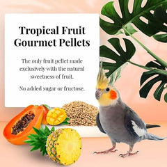 LAFEBER'S Tropical Fruit Gourmet Pellets Pet Bird Food, No Added Sugar, Made with Non-GMO and Human-Grade Ingredients, 1.25 lb