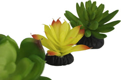 Komodo Reptile Terrarium Succulent 3PK Yellow/Green Plants | Natural Looking Artificial Aquarium Ornament & Habitat Decoration Accessory with Weighted Base