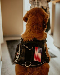 Boss Dog Tactical Hook-Backed Patch for Boss Tactical Harnesses, USA Full Color Flag