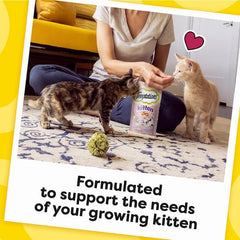 Temptations Salmon and Dairy Flavor Crunchy and Soft Kitten Treats