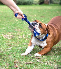 ROGZ Scrubz, Colors Vary