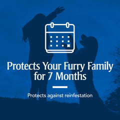 PETARMOR Home Household Spray for Fleas and Ticks, Flea Treatment for Home, Prevents Flea and Tick Re-Infestations for Cats and Dogs, Treats Carpet, Furniture, and More, 24 Ounce