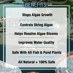 MICROBE-LIFT ALGA32 Algaway 5.4 Algae Control Treatment for Ponds and Water Gardens, Safe for Koi Fish, Goldfish, Plants, and Decorations