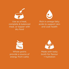 Go! Solutions Skin + Coat Care, Wet Cat Food, Salmon Pâté with Grains for Sensitive Skin, 6.4 oz