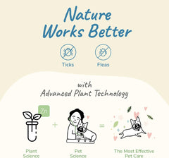 Flea|Tick Protect Spray - Lavender