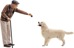 Exclusively Dog Carob Sandwich Cremes Cookies - All Natural Dog Treats, No Animal Byproducts, Baked in The USA, Ideal for Medium to Large Dogs - Carob Flavor, 8oz Bag