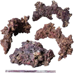 CaribSea Reef Tree Kit Marine Life Rock