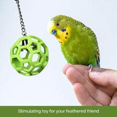JW Pet Company Activitoys Hol-ee Roller Parrot Toy