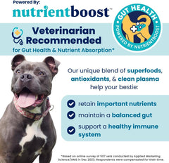 Solid Gold Healthy Dog Treats - Functional Treats for Training + Gut Health - Beef with Salmon Oil Healthy Training Treats for Dogs 5.2-oz