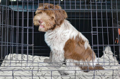 SPOT Snuggler Bones Blanket - Ultra Soft, Machine Washable Dog Blanket for Beds, Furniture Protection, Travel, and Crates