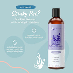 kin+kind Oatmeal Shampoo Lavender for Dogs & Cats Natural Dog Shampoo for Itchy & Sensitive Skin with Colloidal Oatmeal, Olive Oil & Coconut Oil Moisturizing & Safe Pet Shampoo Made in USA