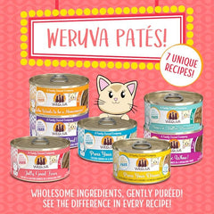 Weruva Wet Cat Food, Jolly Good Fares with Chicken and Salmon Pate