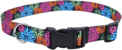 Coastal Pet Styles Adjustable Dog Collar - Stylish Patterned Fabrics - Snap-Lock Buckle - Adjustable Dog Collar - for Small, Medium or Large Dogs - Wildflower