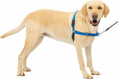 PetSafe Easy Walk No-Pull Dog Harness - The Ultimate Harness to Help Stop Pulling - Take Control & Teach Better Leash Manners - Helps Prevent Pets Pulling on Walks, Large